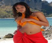 Ileana D&#39;Cruz navel in orange blouse and skirt from ileana clevage navel