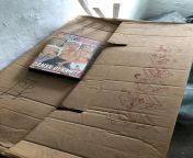 Fandt ud af i dag, at den kasse der blokere gangen ved mit klderrum, er naboen samling af danske porno VHSer from danske