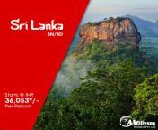 Rejoice yourself with the Srilanka trip. Explore the beautiful Destination with Mollyson Holidays starts @ 36,053*/- pp from srilanka siggalam