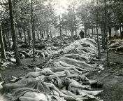 Piles of emaciated corpses at the Nazi concentration camp at Bergen-Belsen, Germany. The photo was taken following the British liberation of the camp on April 15, 1945. from nazi nude camp