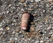 Do you think this is a real finger? Found it in a park parking lot and called it in. An officer took some pictures, bagged it and left. About 10 minutes after he left he called back and said it was fake, but no one who actually saw it believes him. from public blowjob in car parking lot and he cums in my mouth