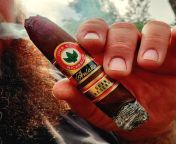 JDN Antano Gran Reserva Gran Consul. Very underwhelmed with this one. Not much going on, very generic flavor. The construction, draw, &amp; burn were flawless, but I probably won&#39;t revisit this line. from gran botin