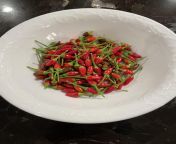 These Thai hot peppers didnt get very big but were some of the hottest peppers Ive ever had. from thai hot sex moviea