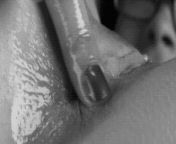 Anal fingering from vita celestine twitch streamer nude anal fingering