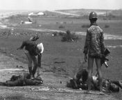 South Vietnamese Marines check the bodies of dead North Vietnamese soldiers for cigarettes and valuables. Near My Chanh, 20 miles North of Hue. 5 May 1972. from mbbg vietnamese
