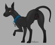 [M4F] as an apology present my ex-girlfriend decided to send me a dog. I read the note that came with it turns out this dog can speak and doesn&#39;t have a meeting season. I look at the dog wondering what to do with it. (The ex-girlfriend can be a playab from blackedraw ex girlfriend