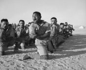 Haka &#124; Maori Battalion doing the Haka in North Africa, 1941 from rahama sadau haka
