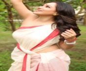 Pooja Banerjee in saree without blouse from saree removing blouse boob showing of tamil