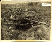 Dead Japaneese soldiers lie at their posts beside field gun after U.S. troops captured position, using grenades, flame throwers, and TNT. Saipan June 17, 1944 from japaneese bf