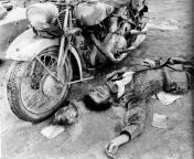A dead Wehrmacht Afrika Korps motorcyclist next to his NSU 601 OSL motorcycle in the Mersa Matrouh area. November 1942 from swot afrika