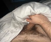 23 hairy arab daddy looking for thick cock++++ uk+++ arab+++ add ryanfor6 from arab daddy b