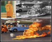 01.06.1963- Rage against the machine burns a monk for a fancy album cover from star sessions olivia 28sets vids 01 06 29 04