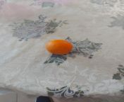 Clementine from futa clementine