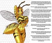 **Bee-hind the killer Wasps mind.** [Extreme, Femdom, Neutering, Animal Kingdom Baybee][Artist: Necozuki][Character: SleeplessCreepr] from www grade hind