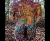 Healed Tiger and Sakura Irezumi full backpiece tattoo by Dana Helmuth. from dana hamm
