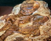 4,800-year-old skeleton of a mother holding her six-month old child. She is believed to be an ancestor of the Austronesian peoples that spread across the Pacific. Taichung, Taiwan, Dapenkeng culture, 2800 BC [1536x2308] from tamil video six xxxx old aunty small boy www comnewly married bhabhi suck