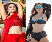 Neha Malik - saree vs bikini - Indian model and actress. from indian actor and actress