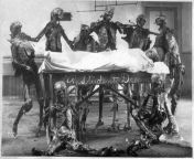 As photography became more common, an odd tradition emergedmedical students taking pictures with their cadavers as sort of a first portrait into the medical field. A common trope at the time was that of A Students Dreamwhere the medical student w from www xxx student s