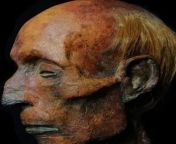 Mummy of Rameses ll, Ruler of Egypt from 1279 - 1213 BC [671x620] from 奇基穆拉约小姐约炮服务█选人网止▷ym287 com靓妹任选█奇基穆拉约小姐约炮服务 奇基穆拉约小姐约炮服务 奇基穆拉小妹外围女美女外围女 1279