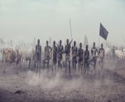 TIL not just Hindus, many African tribes also fiercely protect cows. Pictured are Mundari of South Sudan view cows as their most valuable assets that they guard them with machine guns.Cows here are hump backed zebu cattle which originated in India &amp; d from african tribes ritual sex