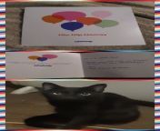 Nyx&#39;s birthday is coming up on the 15th &amp; Chewy.com sent her a card. from amp absoluteoilcompany com