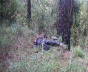 PAFF Terrorist who was trying to infiltrate into India killed by Indian Army Snipers in Mendhar Sector, Poonch from www xxx india hot vabi indian