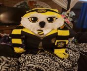 My birthday is Monday and one of my friends took me to build a bear as a birthday present since Daddy lives to far away I managed to get Hedwig and the robe scarf and hat for my house I don&#39;t really want to keep the name Hedwig but I don&#39;t know wh from hedwig sjödin
