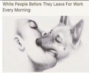 White girls fuck dogs from preteen girls fuck