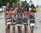 Reed dance from reed dance nude girls