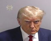 One image, one face, one American moment: The Donald Trump mug shot from ivanka trump nakee image