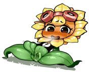 She&#39;s a very sexy hot flower of the sun. (artist: sarikyou) [Plants vs Zombies Heroes] Solar Flare. from radha very sexy hot star plus