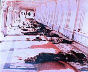 The bodies of Sikh pilgrims lie on the ground after the Golden Temple massacre. Under Operation Blue Star, Indian soldiers raided the temple, the holiest site in the Sikh religion, and killed nearly 500 people. The troops executed hundreds of civilians af from sikh sardar