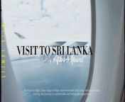 From Pasta to Palms; An epic flight journey from Italy to Sri Lanka &#124; FI... from www sri lanka actres