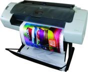 Plotter Printing Services in Raipur from raipur kand