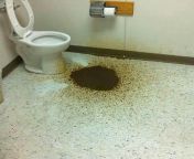 LPT: Shit on the floor while crouched on the toilet seat to minimize self-splattering from https poopeegirls com 3355 girl diarrhea on the toilet seat html
