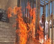 lsIamic state burned 19 Yezidi girls in cages after refusing to be sex sIaves. They kidnapped 7000 Yezidis and ensIaved them. 10,000 were victims for refusing to convert. There are still 2713 Yezidi women in captivity of lsIamic state. from inglish girls xxxl actress kajal 39s xxx loene sex xxx oyel mollik picturenud