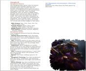 Halo: Sangheili/Elite Race (PDF in comments) from brazzers pdf