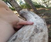 He is one of my cum control and showoff guys. For this pic I told him I wanted to see &#34;wood on wood&#34; ? from momy control