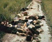 Photo taken by United States Army photographer Ronald L. Haeberle on March 16, 1968 in the aftermath of the My Lai massacre showing mostly women and children dead on a road. ?(714486) from lai austria na hubaran