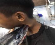 [50/50] Tom and Jerry irl (SFW) &#124; Boy impaled by Fish (NSFW) from nude tom and