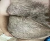 28 brazilian bear here, looking for other bears and daddys to have fun with add behai.pr from actres sre pr