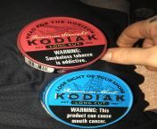 Kodiak from kodiak redd