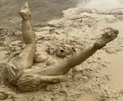 Who else fantasises about having sex in the mud? I want to be fully submerged whilst Im getting f*cked!! Xx from jungle sex in adiman nx xx com