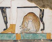 Cat under the chair with a tabby mackerel marking, common in the African wild cat. It was likely a pet. The painting is from the Tomb of Nakht circa. 1401-1391 BC (Egypt). from zeba bibi nude latestarita wild cat