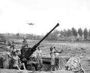 Posting WW2 stuff on a semi-regular basis until I forget I started doing it &#124; part 123: Royal Australian Artillery forces operating a Bofors 40 mm AA gun at the Gili Gili airfield, Papua from papua jogja