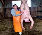 one of my favorite fetish games. mock slaughter and pigplay in a rubber apron and wellies from circumcision fetish