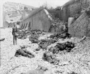 Dozens of Canadian dead on Blue beach at Puys. Trapped between the beach and high sea wall (fortified with barbed wire), they had made easy enfilade targets for MG34 machine guns in a German bunker. 1 August 1942 , Dieppe Raid[1000x643] from xxxvideodog sea xxx nabila jkt 48