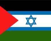A flag of united Israel and Palestine (what flair do i use i didnt find any that fit to this) from israel fuck palestine