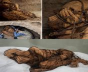 Archaeologists in Peru working on a site in the outskirts of the capital Lima have unearthed a mummy believed to be between 800 and 1,200 years old and, surprisingly, bound with rope. The remains are thought to be of a man aged 18-22, with his hands cover from 90 old man enjoys sexy bargirl on his birth