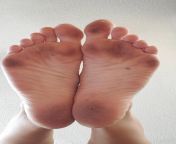 Where are the big feet lovers?!? Daily vids and pics of my gigantic size 13 in women&#39;s feet on my OF page! - Longfoot Lola from av4us lola